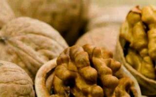 Польза грецких орехов при грудном вскармливании